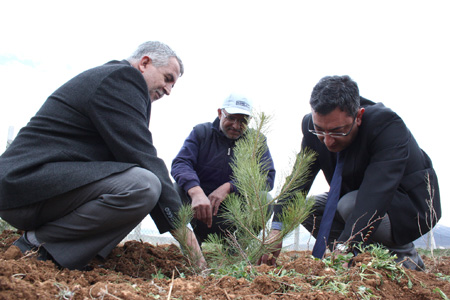 Kompen’den her çalışana bir fidan