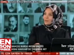 Hilal Kaplan: Türk bayrağının adı değişsin demedim