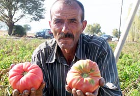 Göl havzasında organik tarım