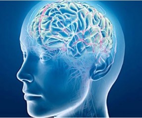 Beyin araştırmaların 100 milyon dolarlık yatırım!