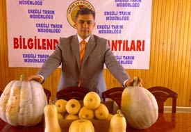 Ereğli'de bal kabağı yaygınlaşıyor