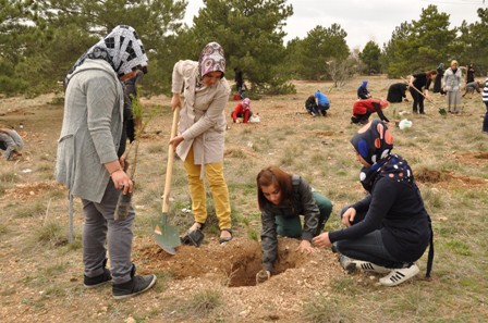 Meramlı kursiyerler fidan dikti