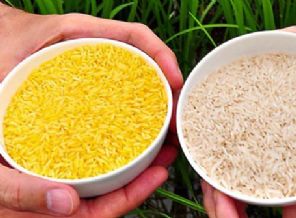 150 milyon TL'lik pirince el konuldu