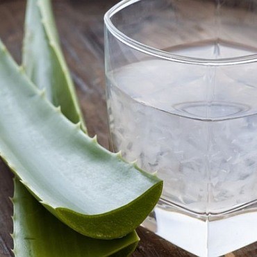 Aloe veranın faydaları