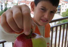 Bir elmada iki ayrı renk, iki ayrı tat