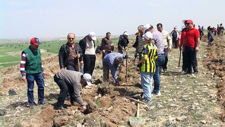 Beyşehir'de ağaç dikme şöleni