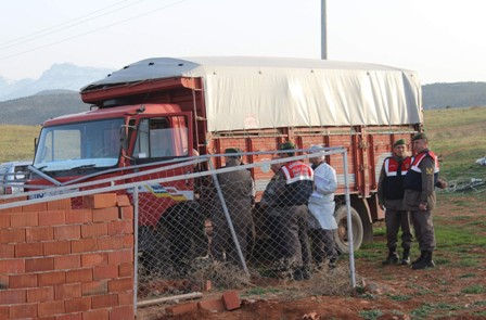 Hareket eden kamyonun altında kalan besici öldü
