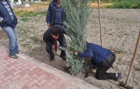 Cihanbeyli’de “Her Kabire Bir Fidan” kampanyası