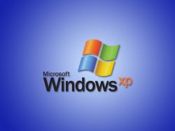 Windows XP için son 1 yıl