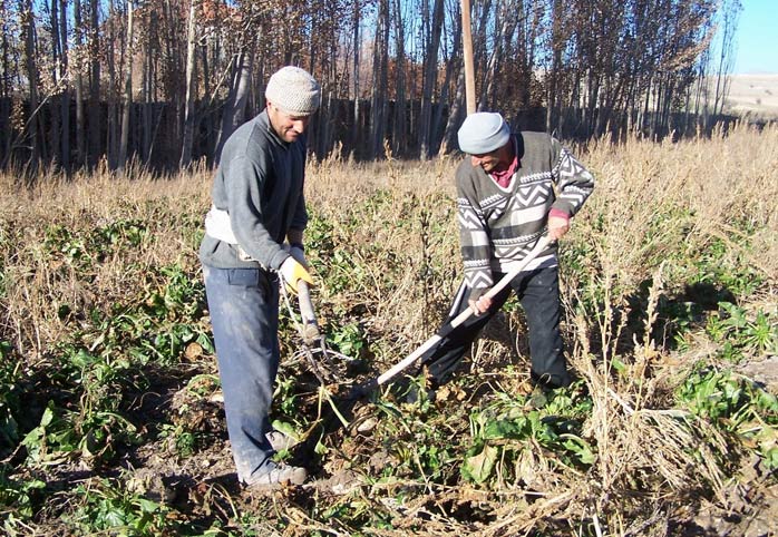 Çiftçinin yüzü güldü