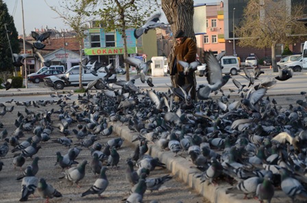 Tarihi Çarşı Esnafının Güvercin Ritüeli