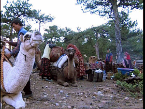 Göçerler Antalya'ya döndü