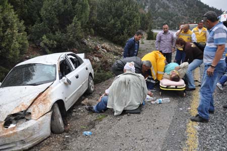 Otomobil şarampole devrildi