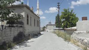 Konya Orman Bölge Müdürü Alıç, Karapınar'da