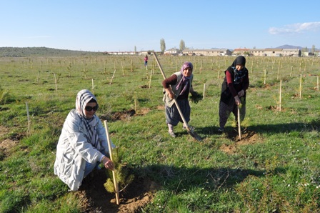 Çumra Belediyesi 4 Yılda 53 Bin Ağaç Ve Çiçeği Toprakla Buluşturdu