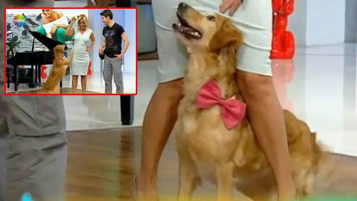 Saba Tümer'in zor anları