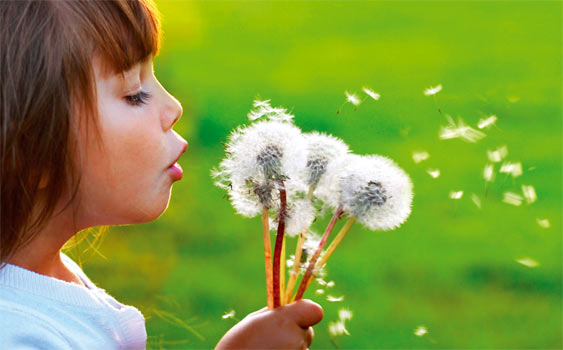 Polen alerjisi olanlar dikkat