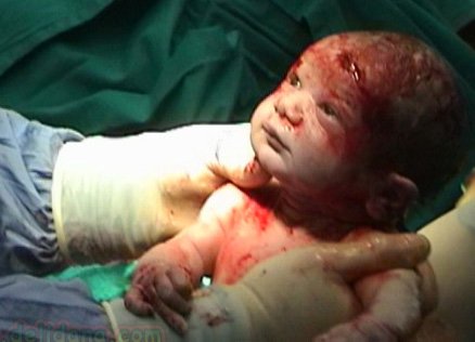 2012'de Canlı Doğan Bebek Sayısı ...