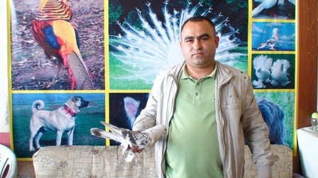 Güvercin 8 bin liraya satıldı