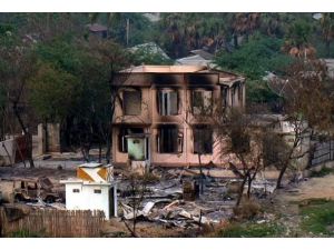 Biri Bu İnsanfsızları Durdursun...