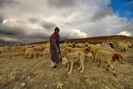 İş Var.. Para Var..  Eee Ne Yok ??