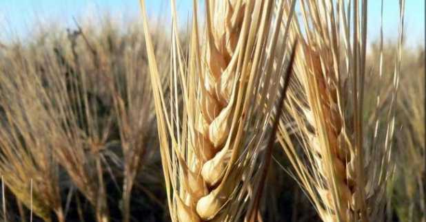 Konya Ticaret Borsası'nda bugün