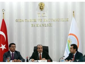 Alkol Ve Bala Karekod