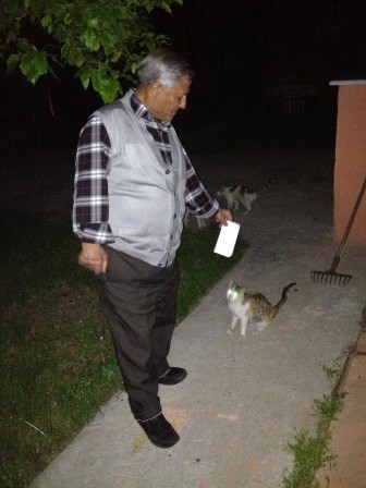 Kedi Sahibini Isırdı