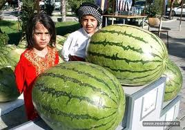 Sırlarla Dolu Şehir Diyarbakır