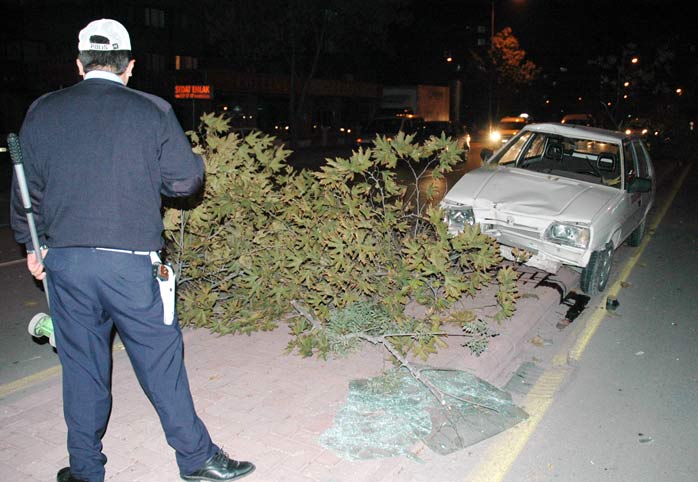Önce yayaya, sonra ağaçlara çarptı