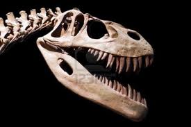 Bunu Bile Çalmışlar ...