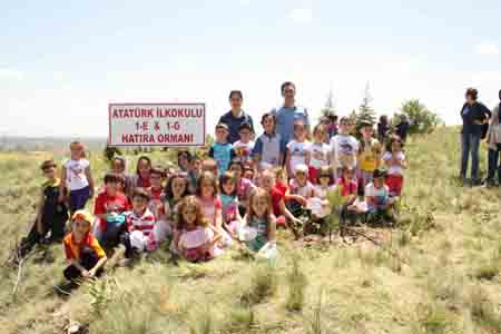 Minik eller ağaç dikti