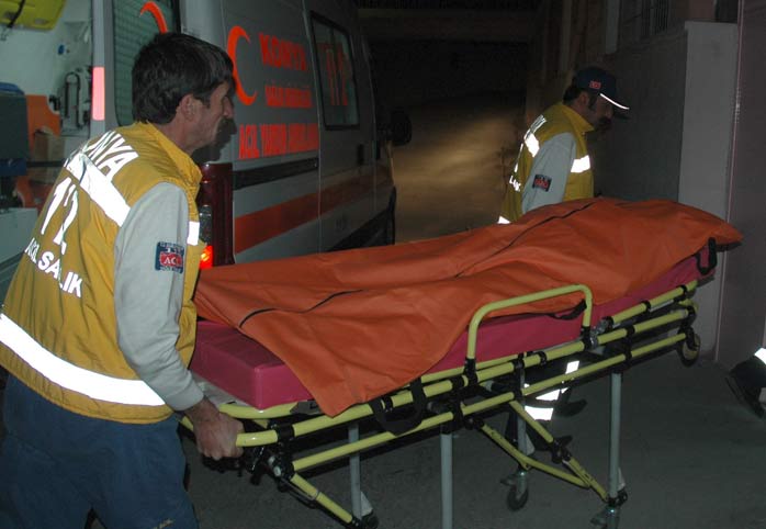 Kamyonet ağaca çarptı: 15 yaralı