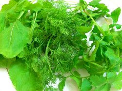 Tansiyonun ilacı maydanoz ve roka