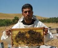 Bu Ballar Kardeş Çıktı..