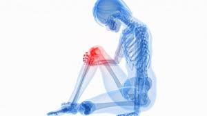 Kıkırdak Hasarlarında "İlaçla" Tedavi