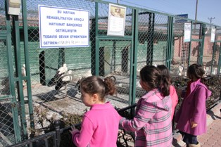 Yaralı Kuşlar, Hayvanat Bahçesinde rehabilite ediliyor