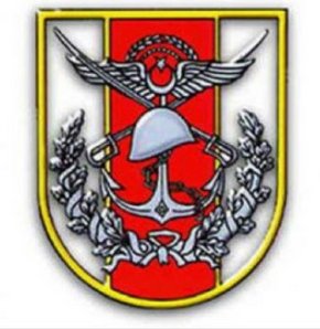 Osmaniye'de F-16 uçağı düştü