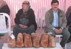 Gök Peynir Festivali yapıldı