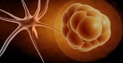 Tıp tarihinde devrim