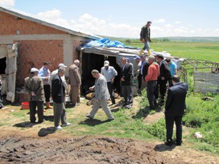 Kurtlar 40 koyunu telef etti