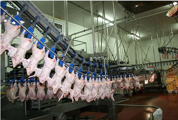 Yılda 32,6 kilogram et tükettik