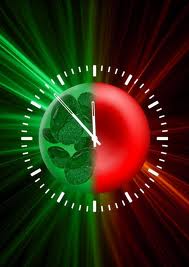 İşte 24 Saat İnsan Vücudu…