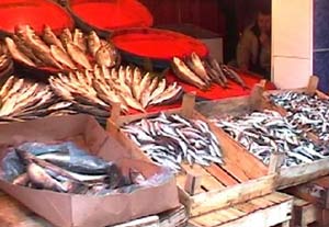 Hangi ayda hangi balık yenilmeli?