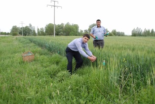 Doğaya, 175 bin faydalı böcek salındı