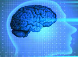 Hangi zeka türüne sahipsiniz?