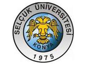 Üniversiteler bölünmeli: Çünkü...