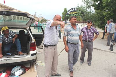 Takside yılan paniği