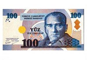YTL bir yılda %19 değerlendi