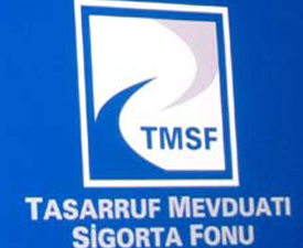 TMSF, 10 taşınmazı satışa çıkaracak